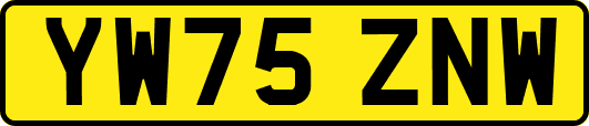 YW75ZNW
