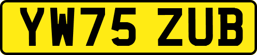 YW75ZUB