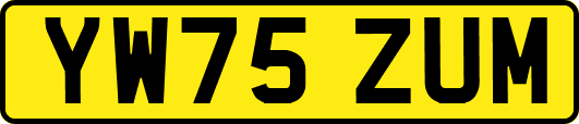 YW75ZUM