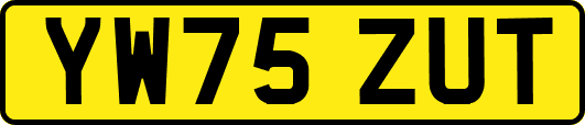 YW75ZUT