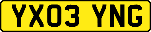 YX03YNG