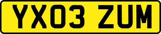 YX03ZUM