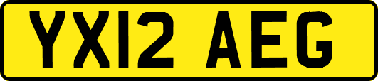 YX12AEG