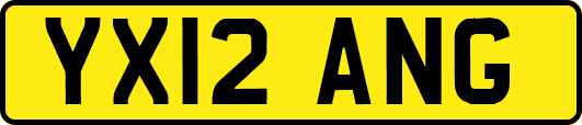 YX12ANG