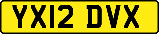 YX12DVX