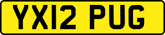 YX12PUG