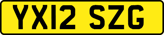 YX12SZG