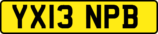 YX13NPB