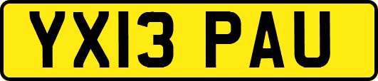 YX13PAU