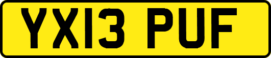 YX13PUF
