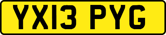 YX13PYG