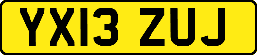 YX13ZUJ