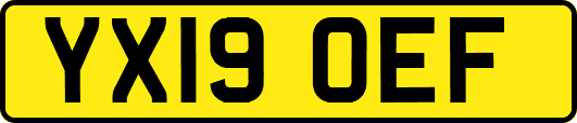 YX19OEF