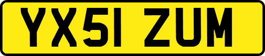 YX51ZUM