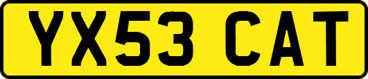 YX53CAT