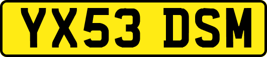 YX53DSM