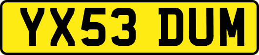 YX53DUM