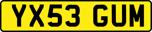 YX53GUM