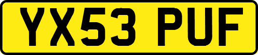 YX53PUF