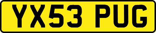 YX53PUG