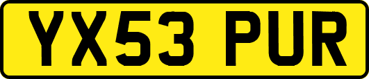 YX53PUR