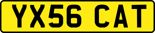 YX56CAT