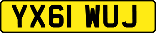 YX61WUJ