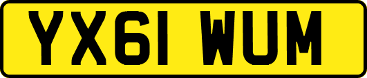 YX61WUM