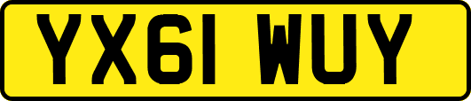 YX61WUY