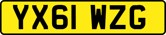 YX61WZG