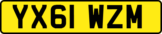 YX61WZM