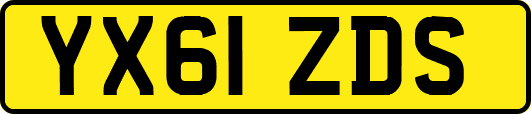 YX61ZDS