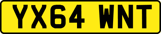 YX64WNT