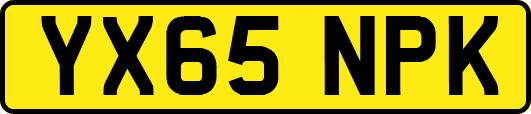 YX65NPK