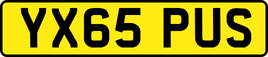 YX65PUS