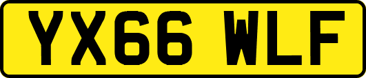 YX66WLF