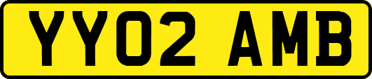 YY02AMB