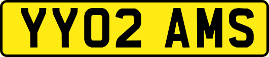 YY02AMS