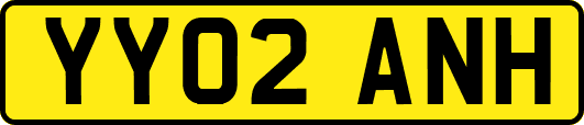 YY02ANH