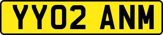 YY02ANM