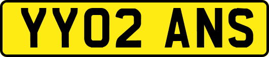 YY02ANS