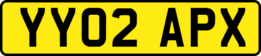YY02APX