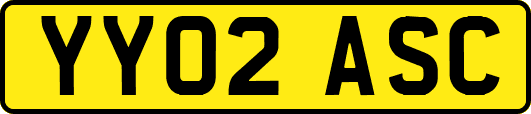 YY02ASC