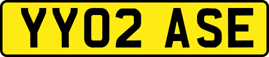 YY02ASE