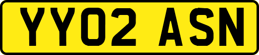 YY02ASN