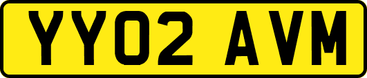 YY02AVM