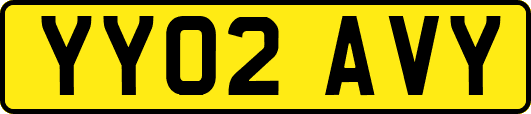 YY02AVY