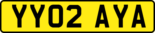 YY02AYA