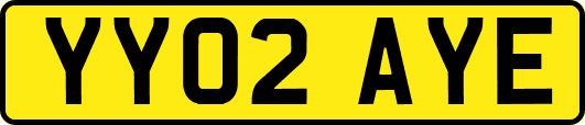 YY02AYE