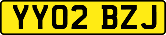 YY02BZJ